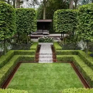 Outdoor plants