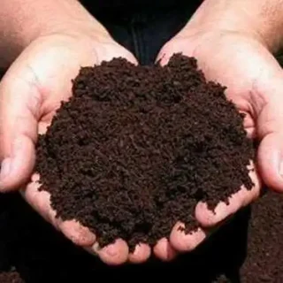 Fertilizers