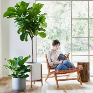 Featured Collections