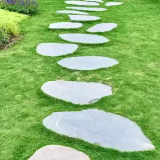 Grass