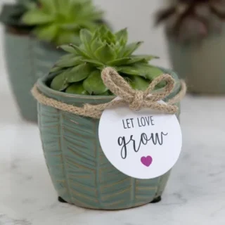 GIFTING PLANTS