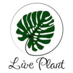 live plant logo