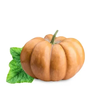 Pumpkin - Seed