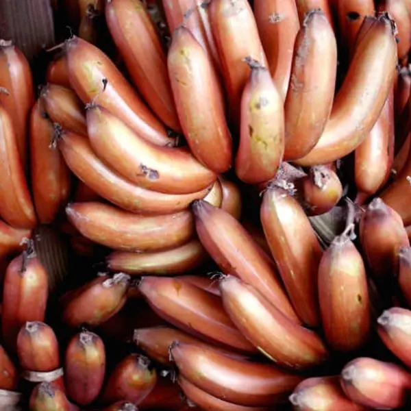 Chenkadali Banana