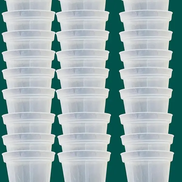 2.5” transparent pot