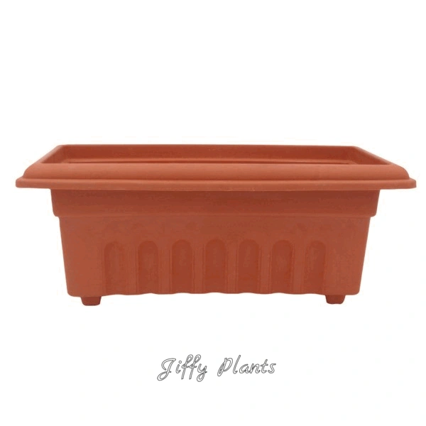 12" Rectangle Terracotta Plastic Pot
