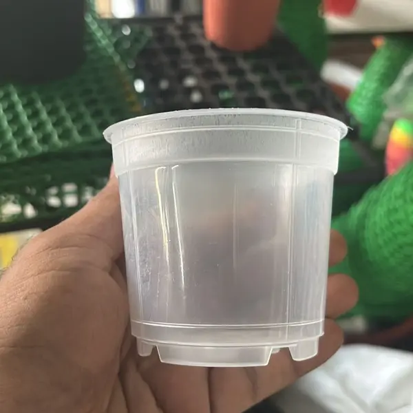 2.5” transparent pot