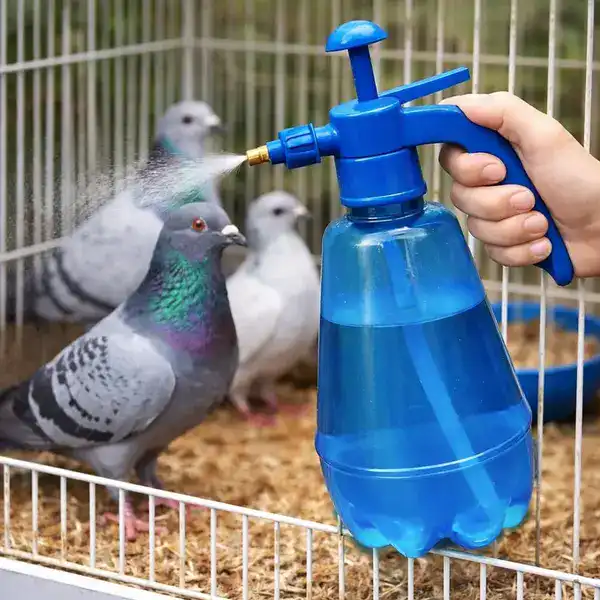 Spray Bottle