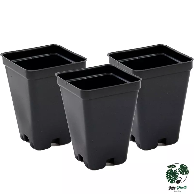 2.5 inch Square Greenhouse Black Pots