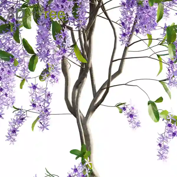 PETREA BUSH
